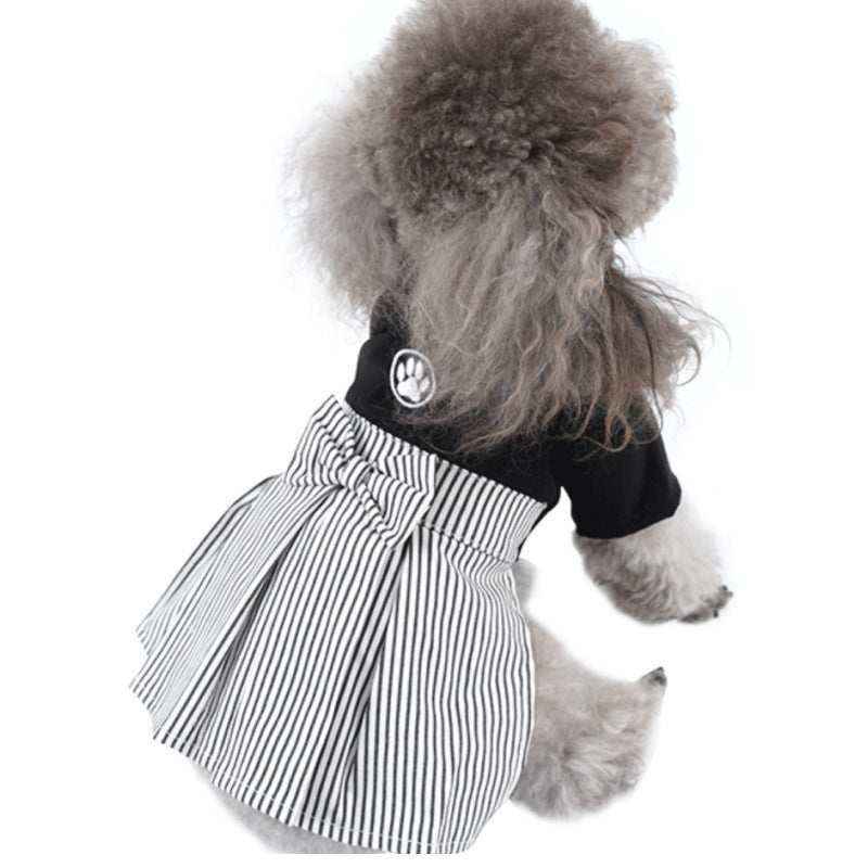 gray poodle wearing black top with paw print and striped pleated skirt with bow