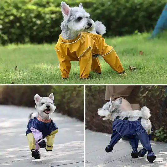 Tutina Idrorepellente per Cani "Zoe" – Massima Protezione da Pioggia e Fango by Dog Moda