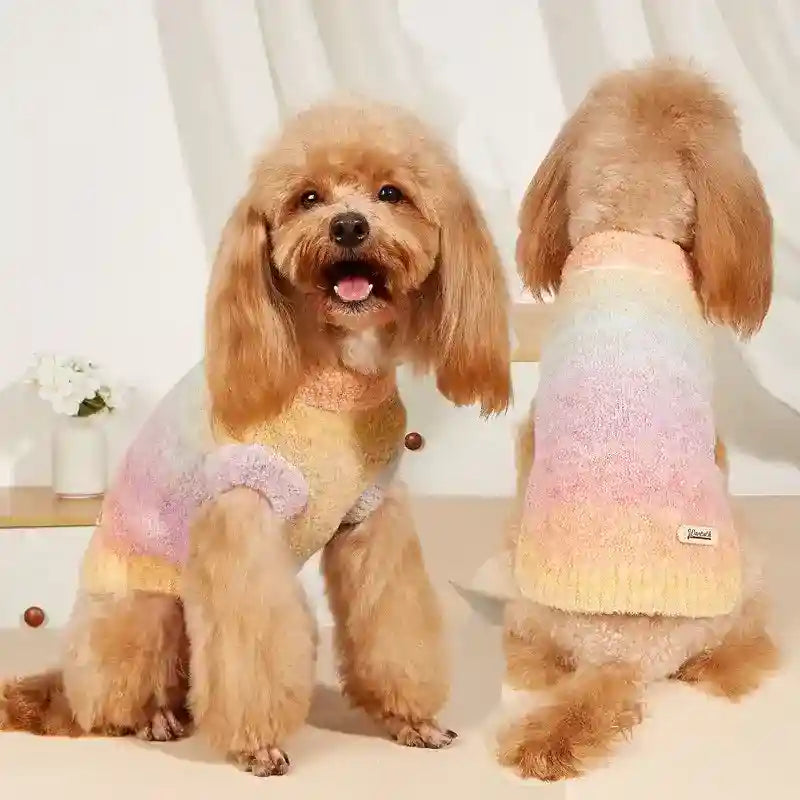 Maglioncino Sfumato Eleganza - Lana Acrilica Smanicata - Dog Moda