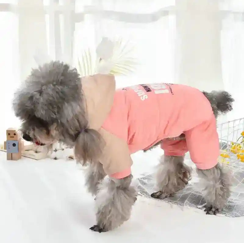 Cappottino per Cani Superstar | Impermeabile con Cappuccio Ricamato by Dog Moda