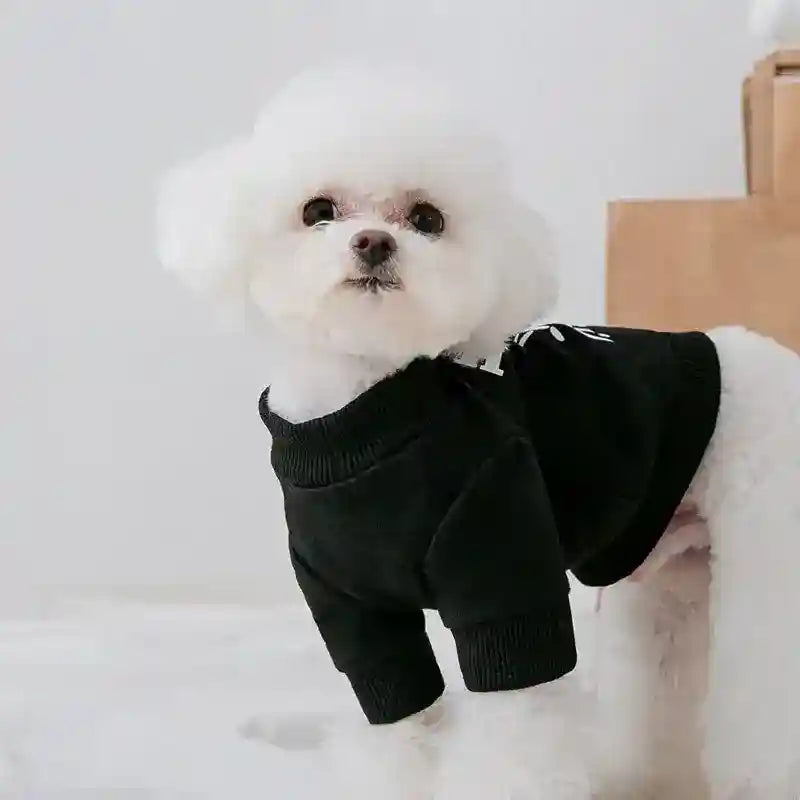 Felpa per cani "Ciao Orsetto!" – Stile e comfort per il tuo amico a quattro zampe by Dog Moda