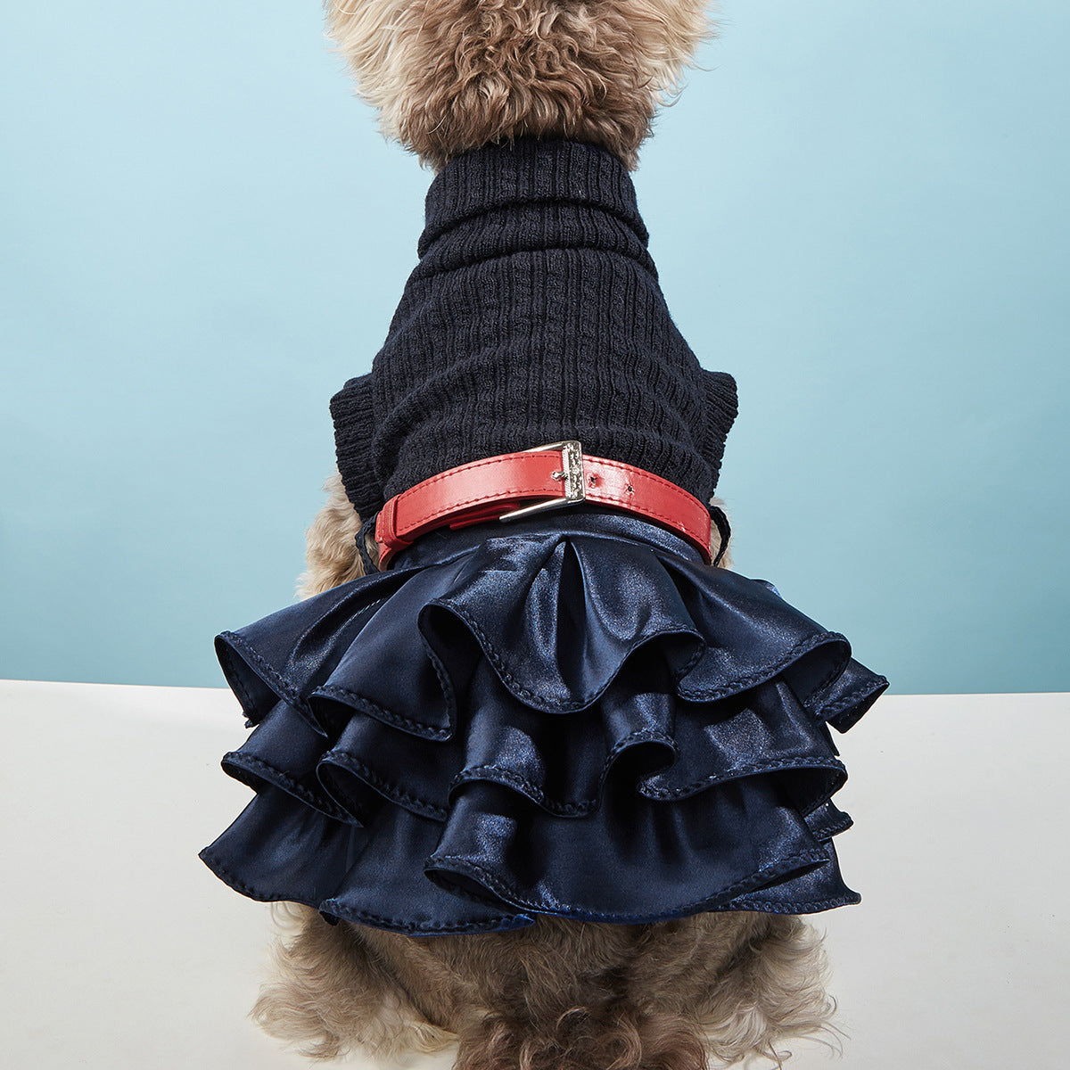 Elegant Dress for Paris Poodle Dog | Braided Shirt and Satin Skirt