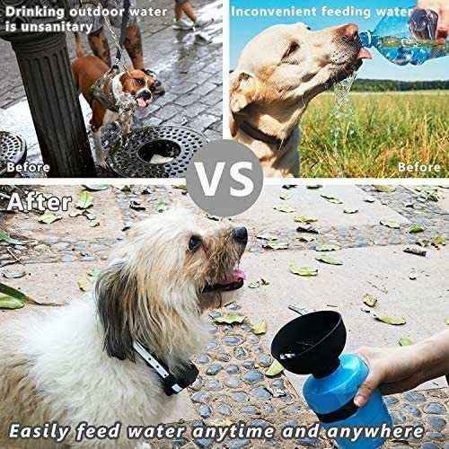 Borraccia per Cani Portatile 2 - in - 1 con Ciotola Pieghevole – Impermeabile e a Prova di Perdite - Dog Moda