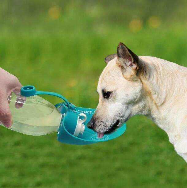 Borraccia per cani portatile da 600 ml "Foglia" - Dog Moda