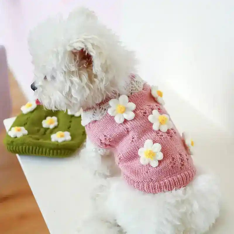 White fluffy dog wearing pink knitted sweater with white and yellow flower decorations sitting beside green sweater with flowers