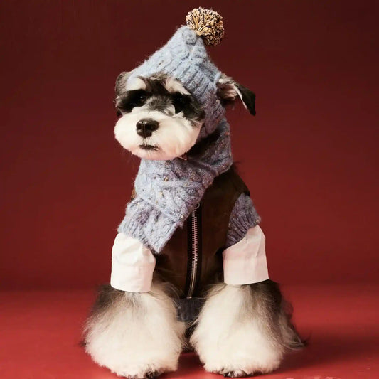 Cappello Sciarpa Cane - Set Lana Inverno Piccola Taglia by Dog Moda