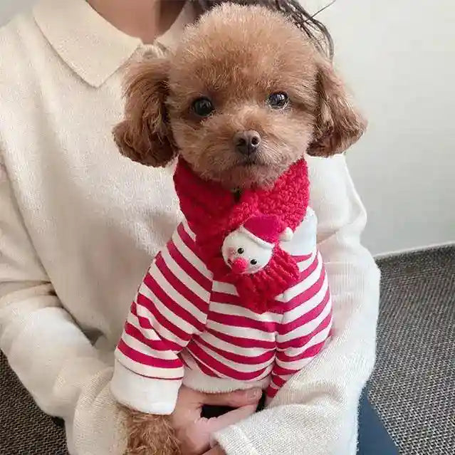Felpa Natalizia per Cani con Sciarpa | Righe Rosse e Bianche con Tasca 3D by Dog Moda