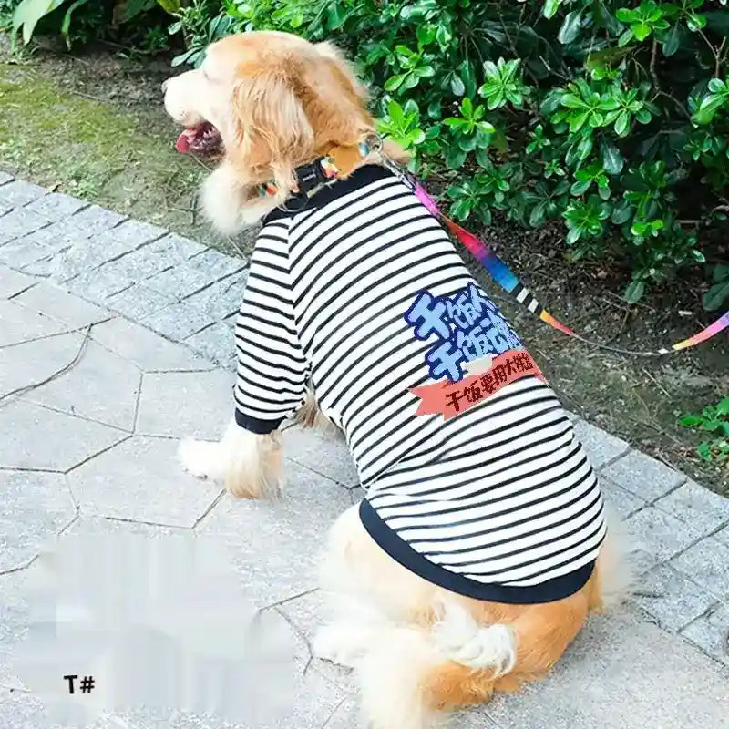 Felpa per Cani Grandi a Righe con Stampa Colorata – Stile e Comfort by Dog Moda