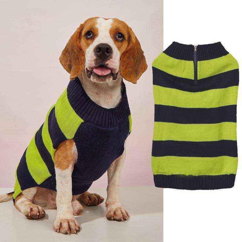 Beagle dog wearing navy blue and lime green striped knitted sweater with zipper on neck