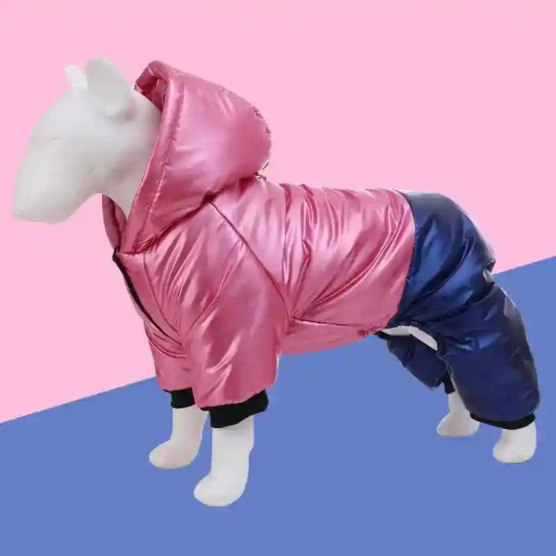 Dog mannequin wearing shiny pink and blue padded hooded dog winter jacket on pink and blue background