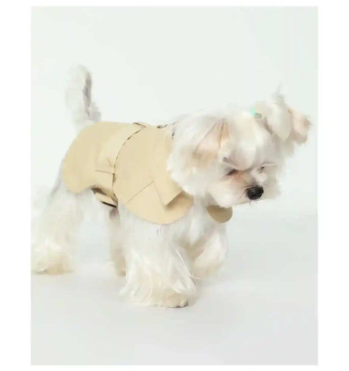 Cappottino Versaille Leggero con Fascia Regolabile by Dog Moda