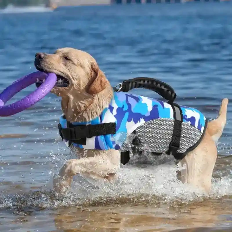 Giubbotto salvagente per cane "Shark" - Cheepet by Dog Moda
