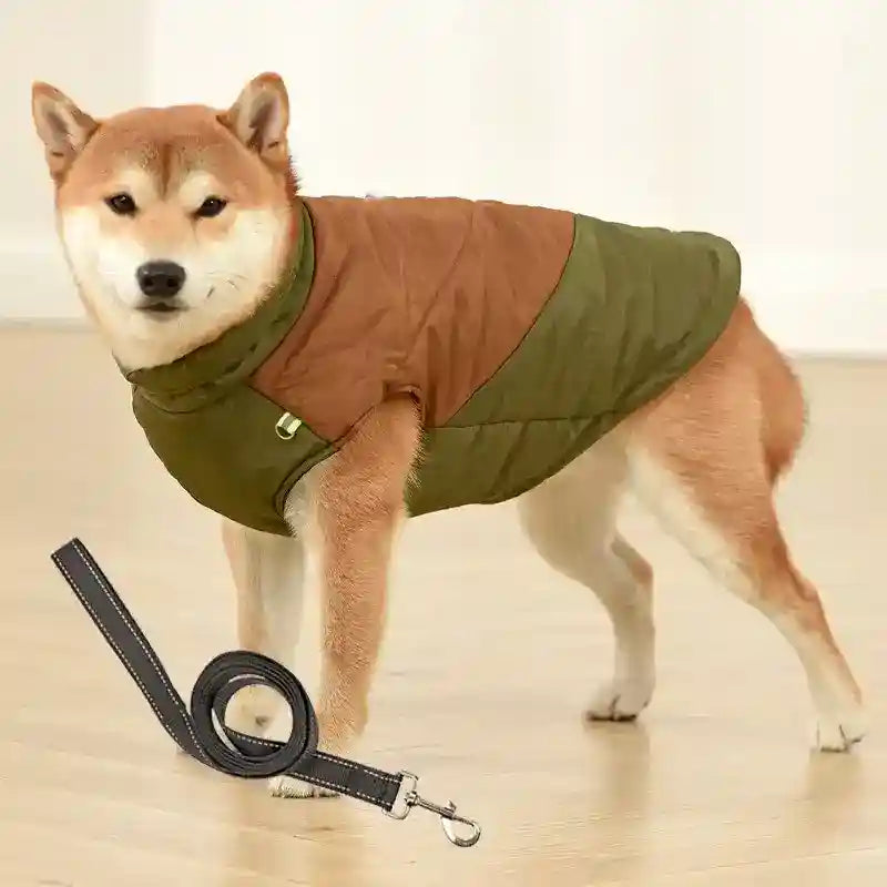 Cappotto per Cani Taglia Media e Grande | Zip, Riflettenti e Look Casual by Dog Moda