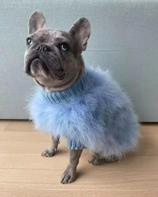 Maglione per Cani "Luxury" – Morbidezza ed Eleganza in un Solo Capo! ✨ by Dog Moda
