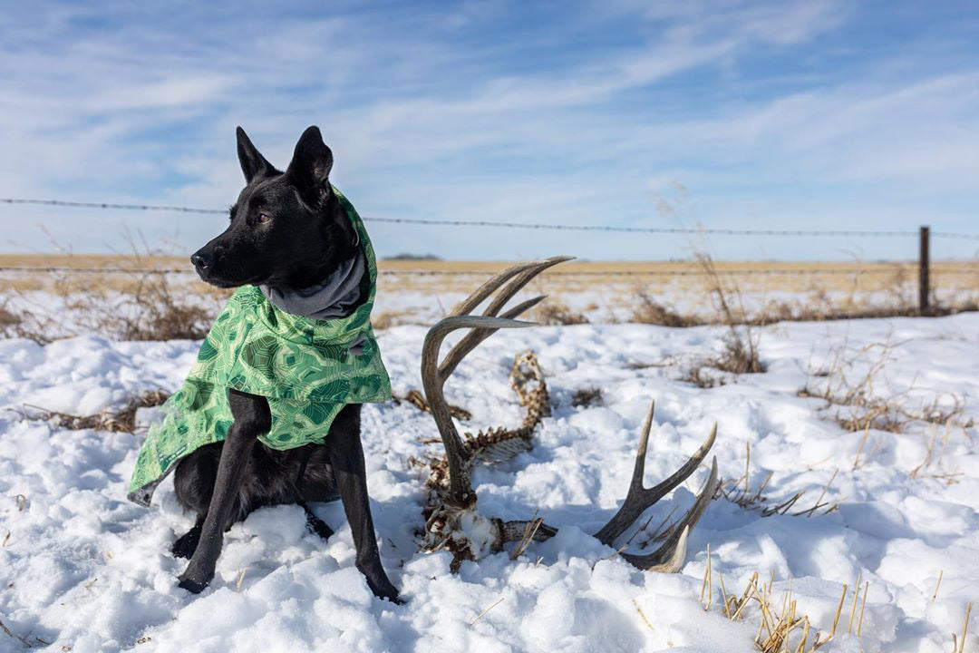 Cappotto trapuntato per cani "North Ice" – Protezione termica per le escursioni invernali