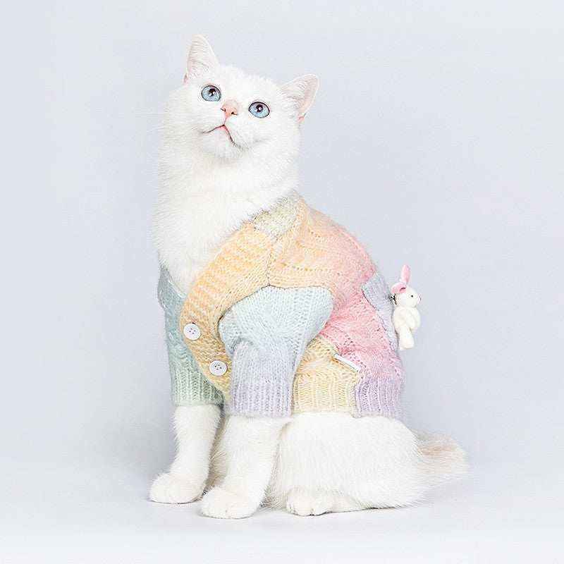 White cat with blue eyes wearing pastel rainbow knitted sweater with bunny toy on back