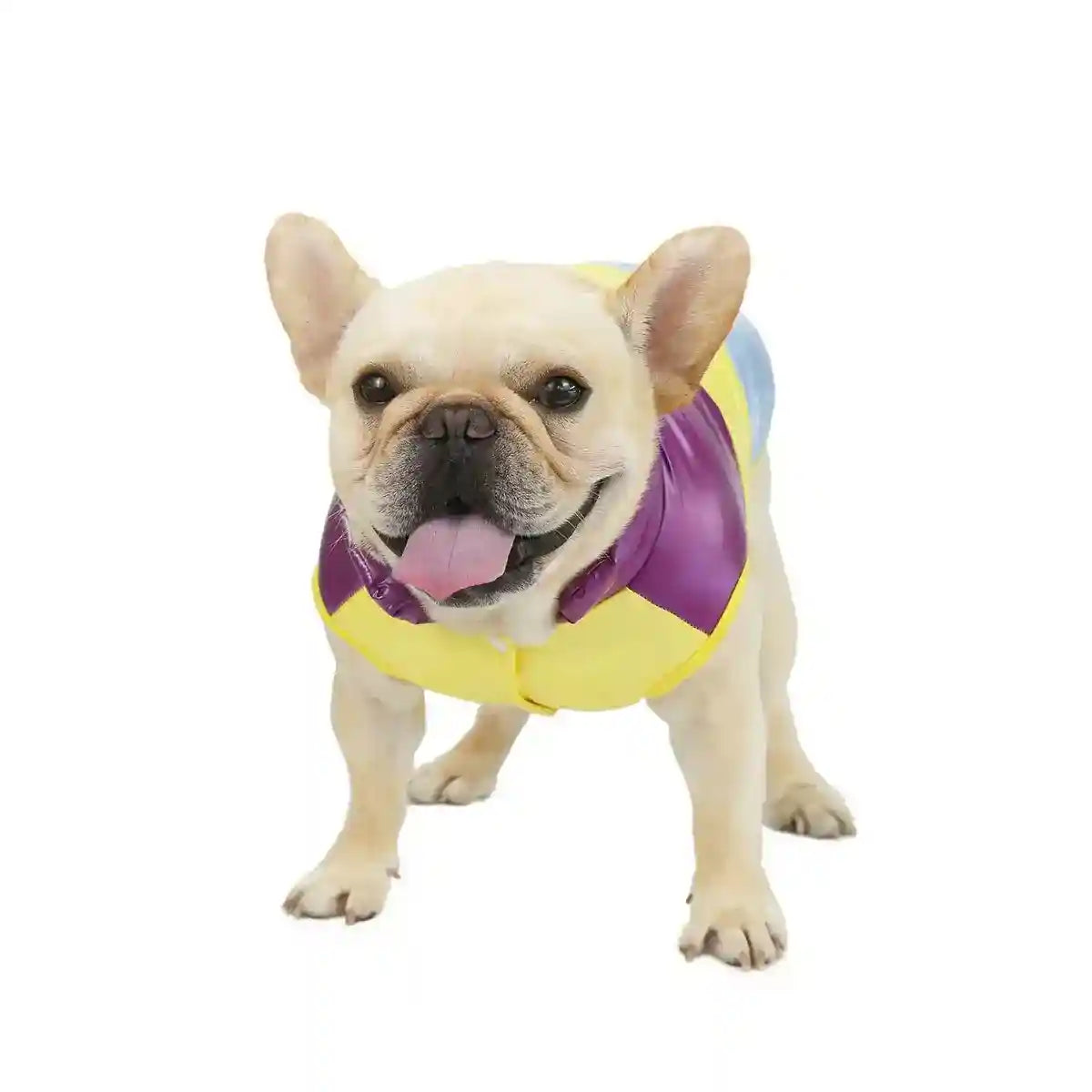 Cappottino per cani smanicato imbottito "Dadagou" by Innopet