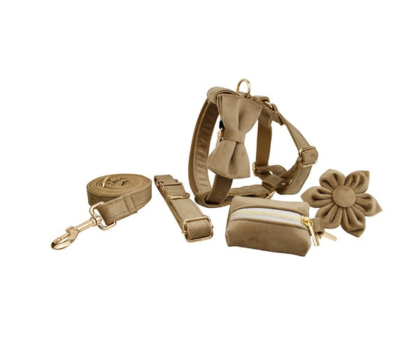 Set Pettorina ad H per Cani Modello "Velvet"