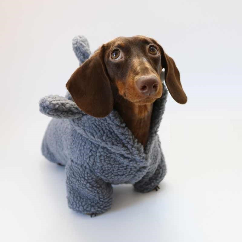 Cappottino invernale per cani Shark azzurro con cappuccio