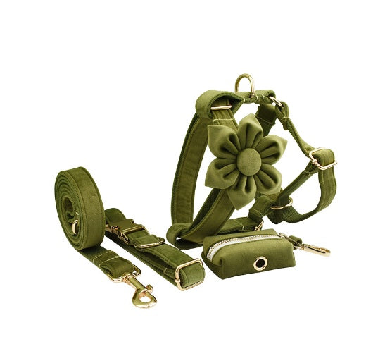 Set Pettorina ad H per Cani Modello "Velvet"