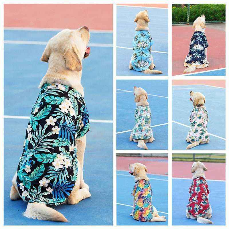 Labrador dog wearing various colorful Hawaiian style floral shirts sitting on a blue and red court.