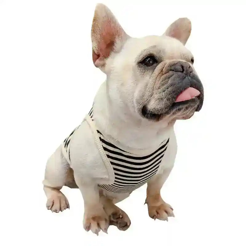 Canotta per cani a righe "K - Star" - Dog Moda