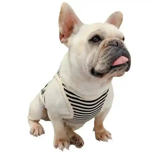 Canotta per cani a righe "K - Star" - Dog Moda