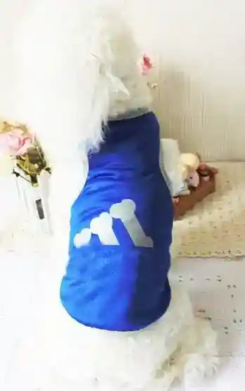 Canottiera per cani e Bulldog francese "Runaway" - Dog Moda