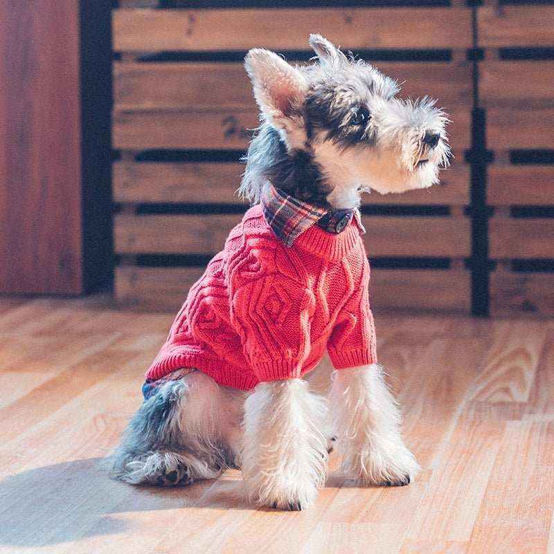 Camicia a quadri con maglioncino ricamato per cani - foto 6
