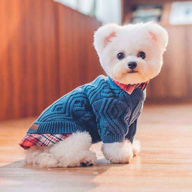 Camicia a quadri con maglioncino ricamato per cani - foto 4