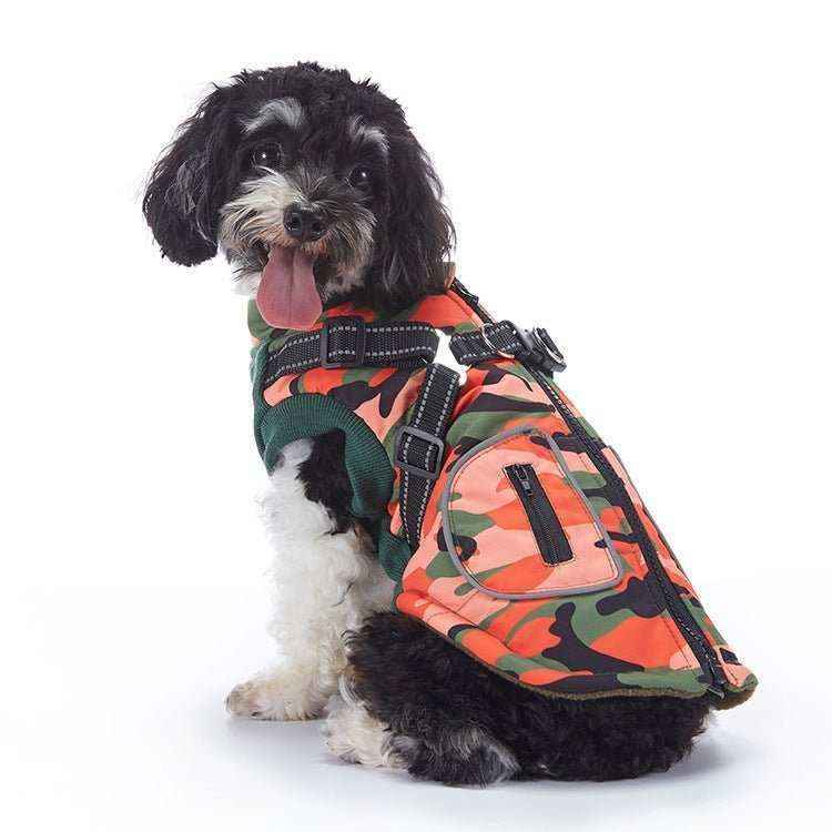 Small black and white dog wearing an orange and green camouflage dog jacket sitting on white background