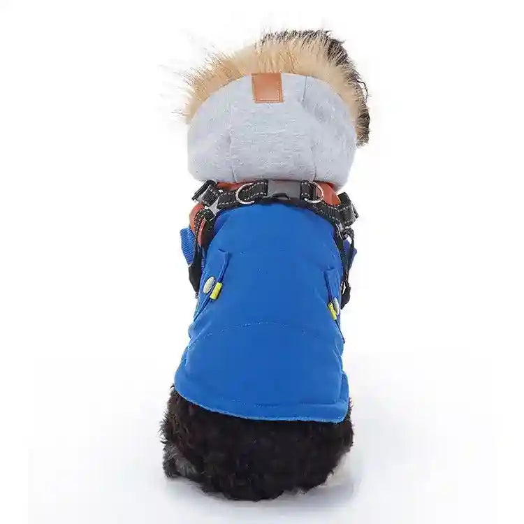 Small dog wearing blue padded winter jacket with gray hood and faux fur trim, sitting facing away
