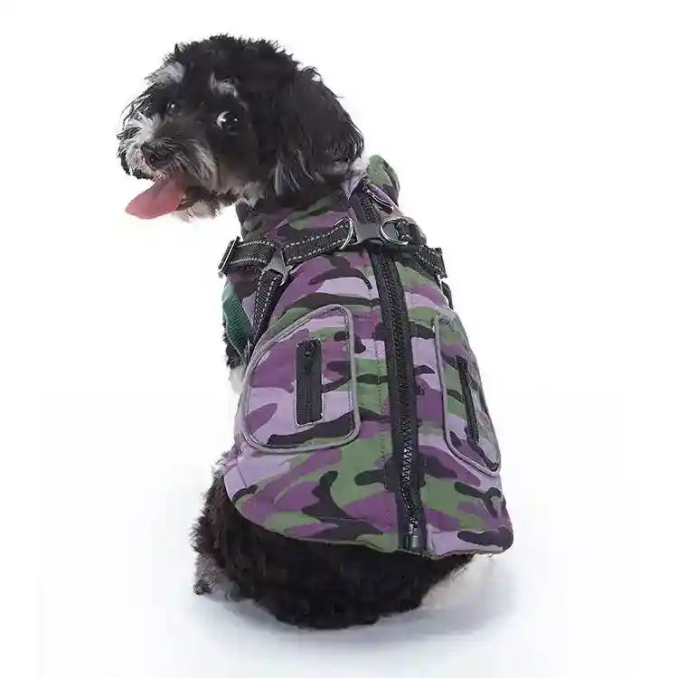 Black curly dog wearing purple and green camouflage dog vest with zipper and harness, sitting on white background