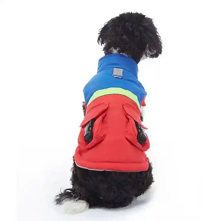 Small black and white dog wearing colorful blue, green, and red padded dog jacket with pockets
