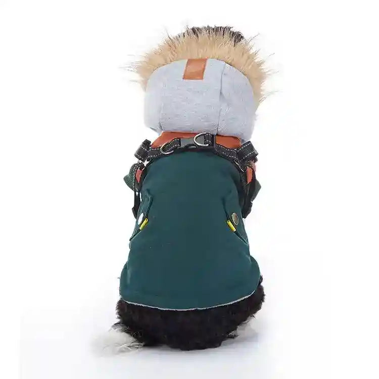Small dog wearing green and grey alpaca pet coat with fur-trimmed hood and harness, sitting rear view