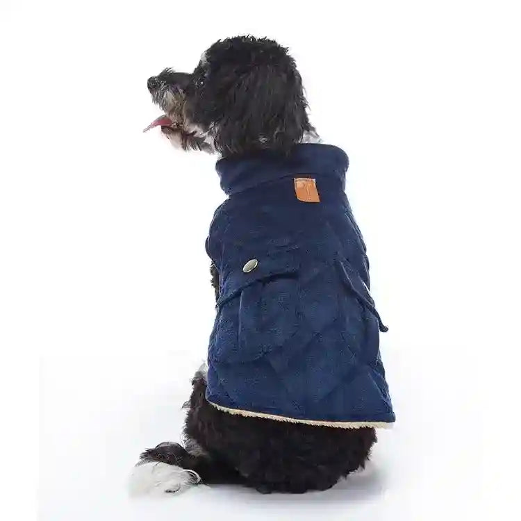 Black and white dog wearing a quilted navy blue alpaca dog coat with pockets, sitting sideways on white background