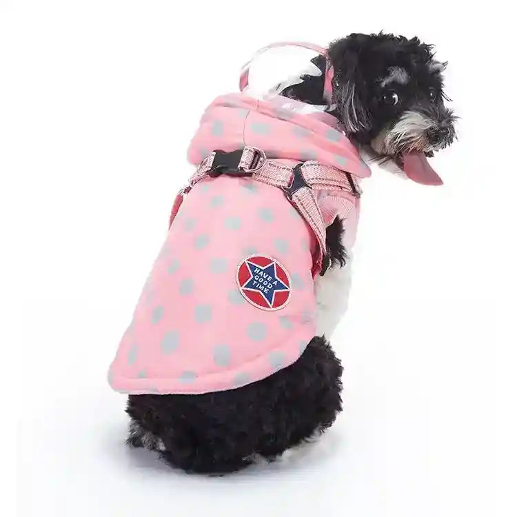 Small black and white dog wearing pink polka dot alpaca fleece jacket with harness on white background