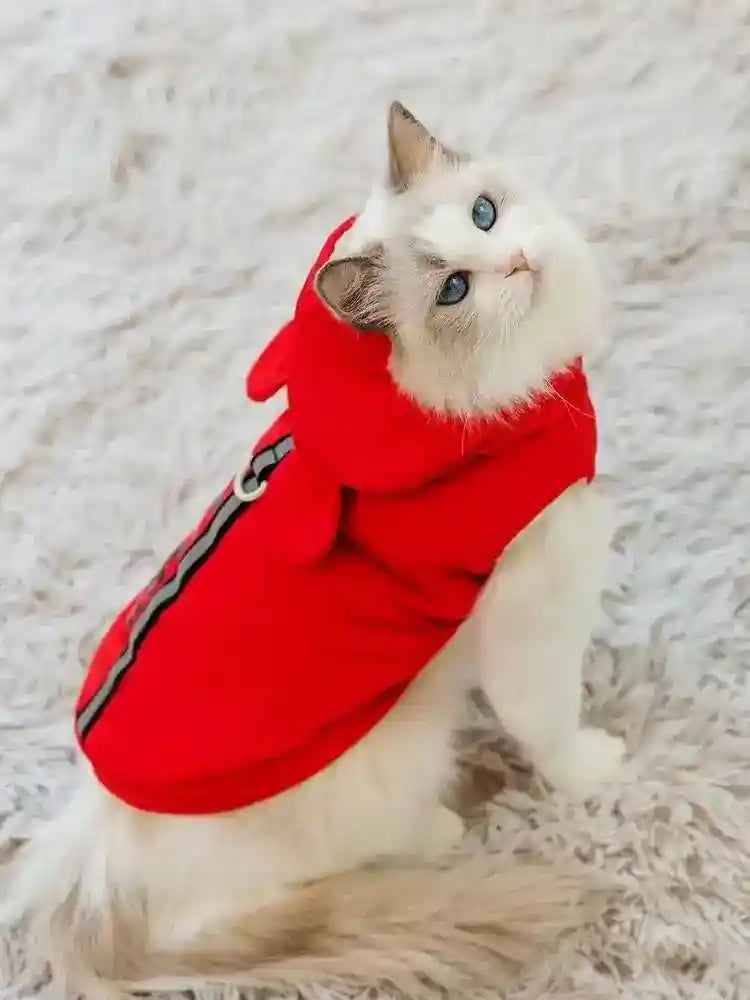 White cat with blue eyes wearing a red hooded pet jacket with reflective stripe sitting on a fluffy rug