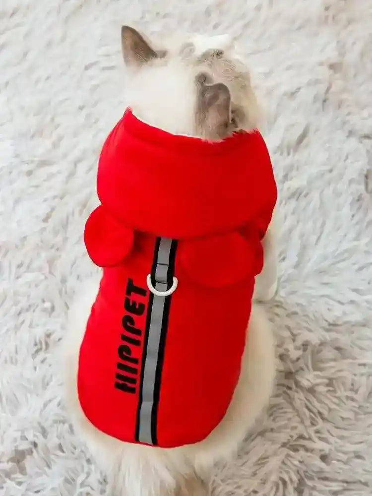 White cat wearing a red Hipipet hooded dog and cat coat with reflective band and leash ring on gray carpet