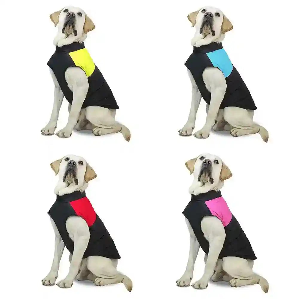 Cappottino Imbottito Impermeabile per Cani Modello "Rent" – Protezione Totale con Vestizione Rapida - Dog Moda