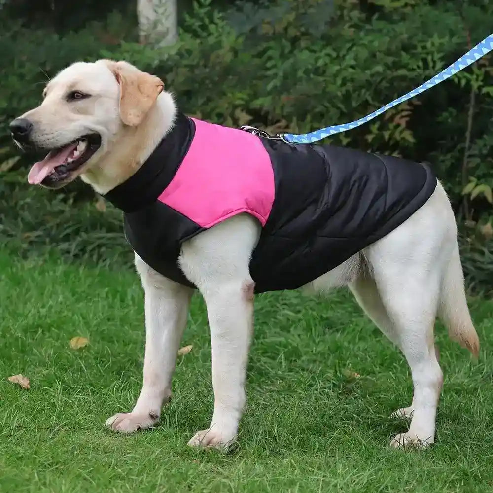 Cappottino Imbottito Impermeabile per Cani Modello "Rent" – Protezione Totale con Vestizione Rapida - Dog Moda