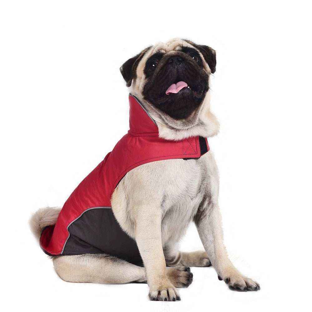 Cappottino Impermeabile per Carlino – Modello "Pug" - Dog Moda
