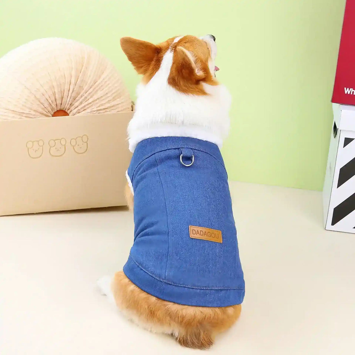 Cappottino per Cani specifico Corgi DADAGOU - Modello "Corgi Special" - Dog Moda