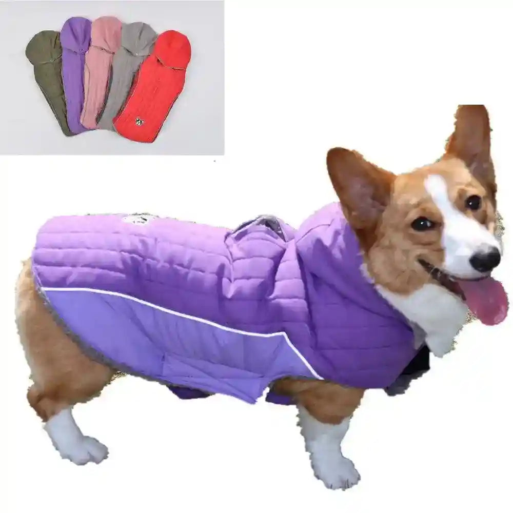 Cappotto per Cani Corgi e non solo Modello "Cristine" - Dog Moda