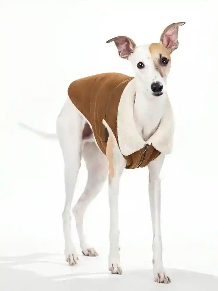 Cappotto Smanicato per cani in Pelle Scamosciata con Imbottitura in Pelo d'Agnello - Dog Moda