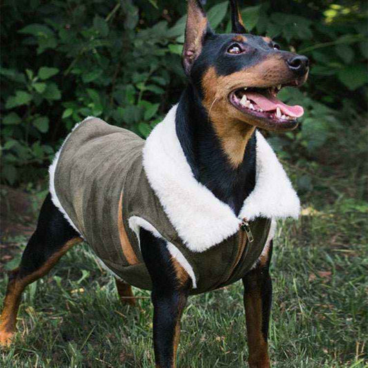 Cappotto Smanicato per cani in Pelle Scamosciata con Imbottitura in Pelo d'Agnello - Dog Moda