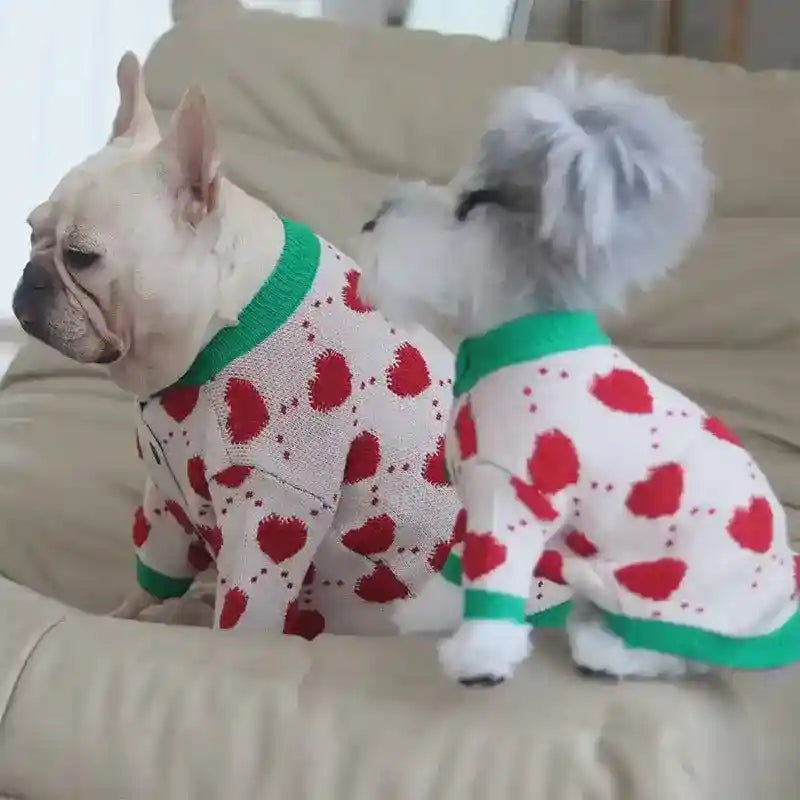 Two dogs wearing white sweaters with red hearts and green collars sitting on a beige sofa