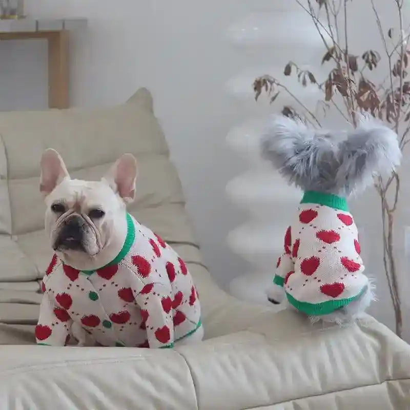 Two small dogs wearing white cardigans with red hearts and green trim sitting on a beige leather sofa