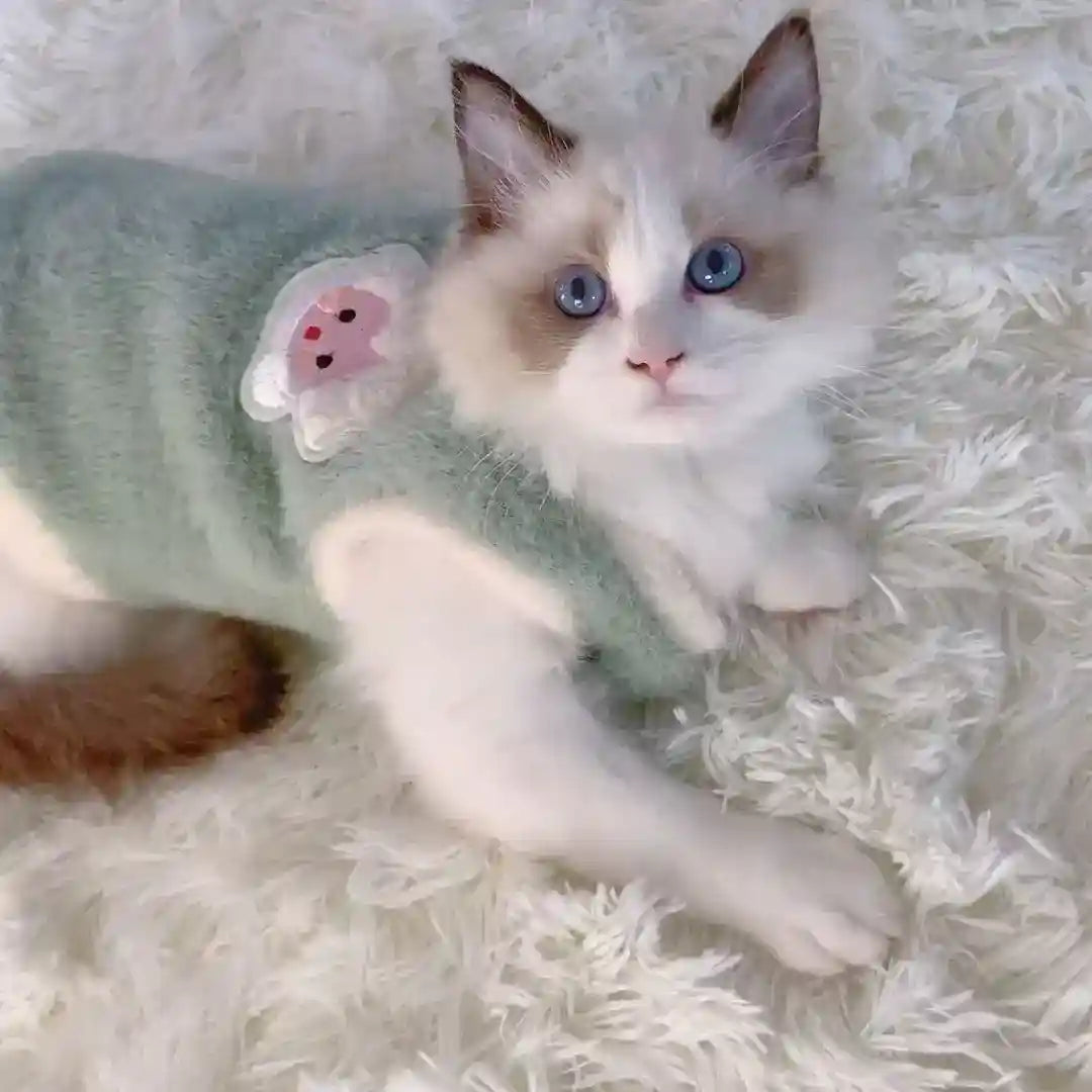 Maglia Pile Gatti - Calda Morbida Inverno per Felini by Dog Moda