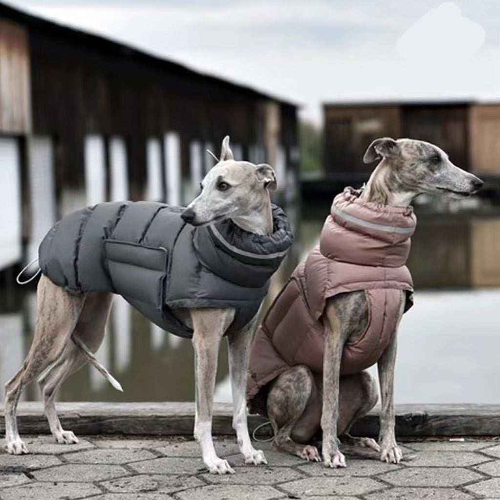 Piumino per cani imbottito antivento "Woom" by Dog Moda